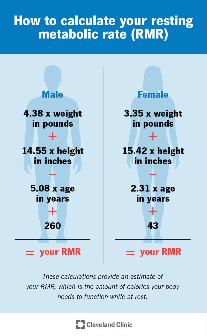 Basal metabolic rate diagram used in the PlungePalz cold plunge and sauna calorie calculator